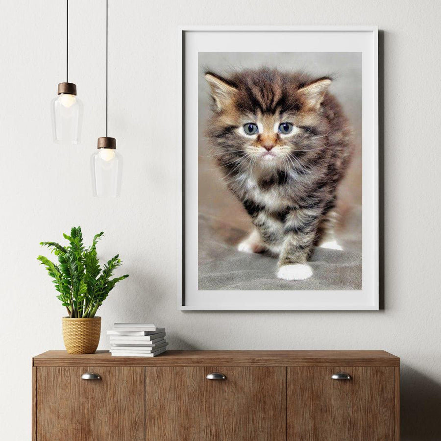 Diamantmaling Behåret Killing - SEOS Shop ®