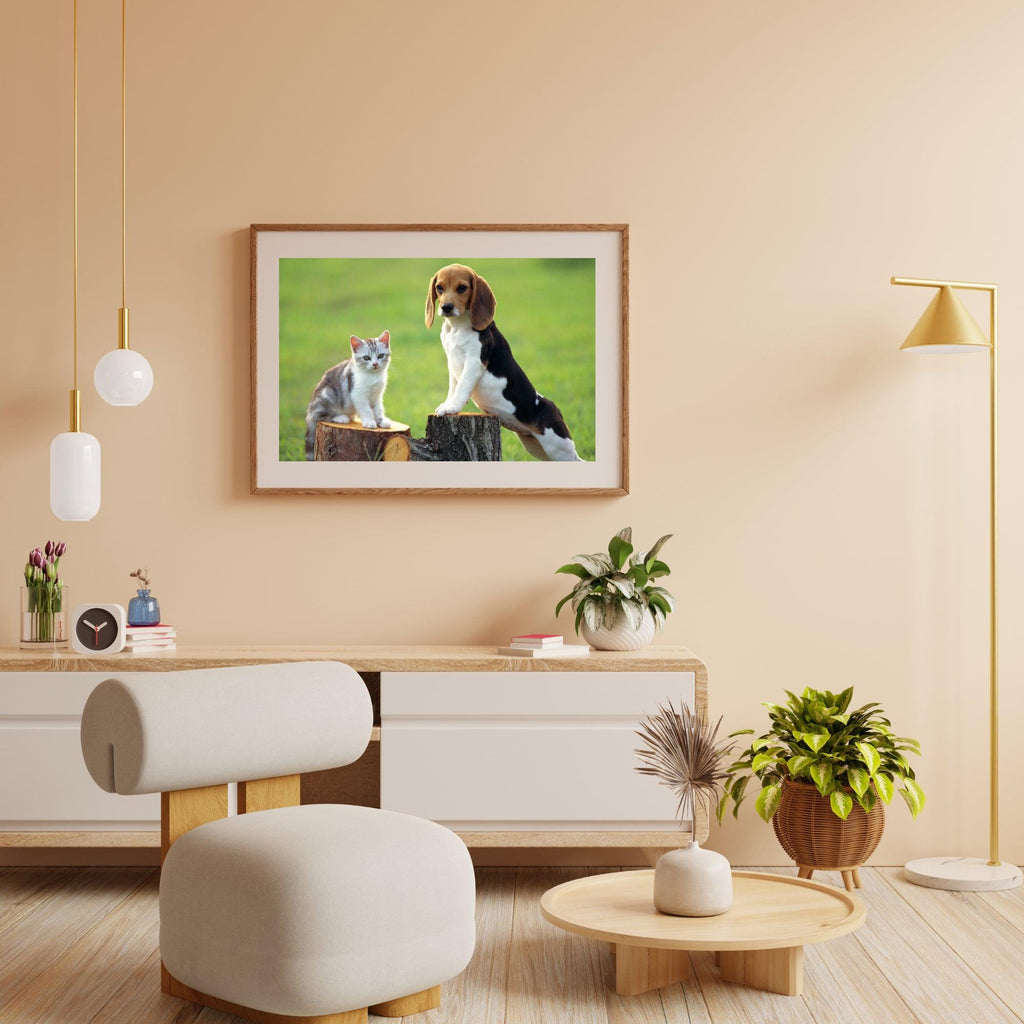 Diamantmaling Hund med Kat - SEOS Shop ®