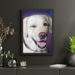 Diamantmaling Hund med blink - SEOS Shop ®