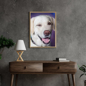 Diamantmaling Hund med blink - SEOS Shop ®
