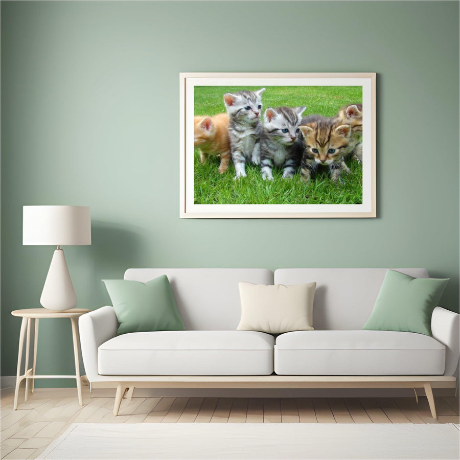 Diamantmaling Killinger Komplet - SEOS Shop ®