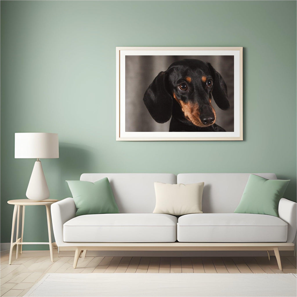 Diamantmaling Lille Gravhund - SEOS Shop ®