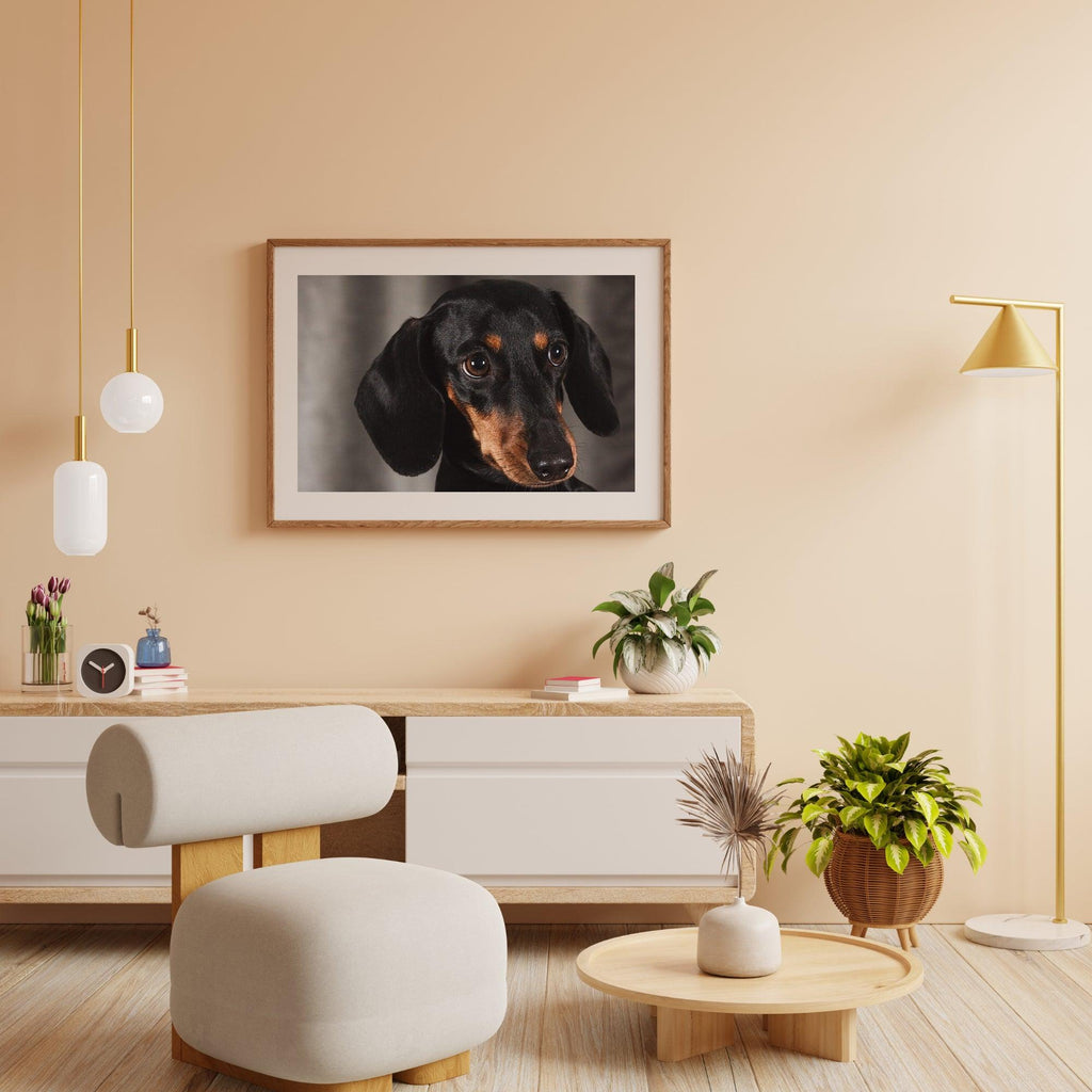 Diamantmaling Lille Gravhund - SEOS Shop ®