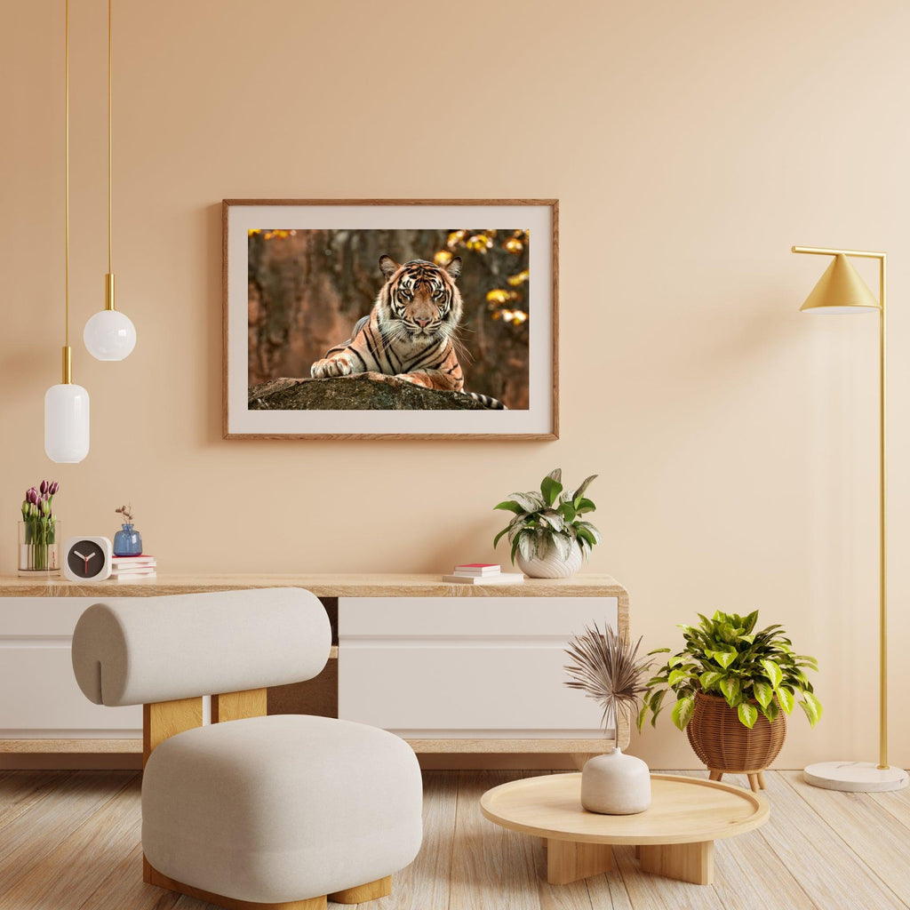 Diamantmaling Liggende Tiger - SEOS Shop ®