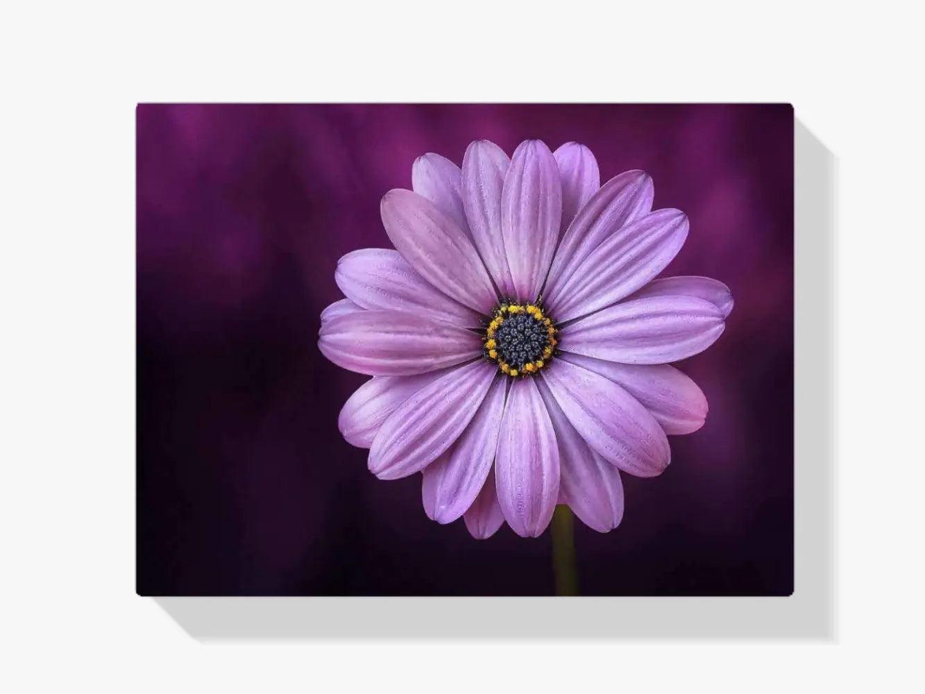 Diamantmaleri Lilla Blomst - SEOS Shop ®