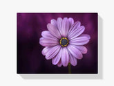 Diamantmaleri Lilla Blomst - SEOS Shop ®