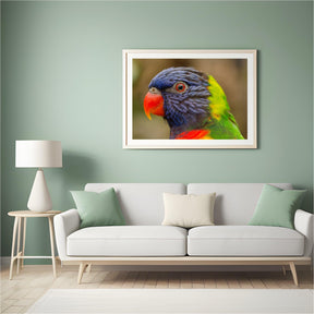 Diamantmaling Papegøje - SEOS Shop ®