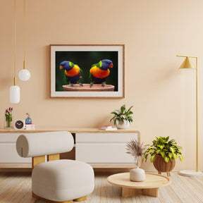 Diamantmaling Papegøjer - SEOS Shop ®