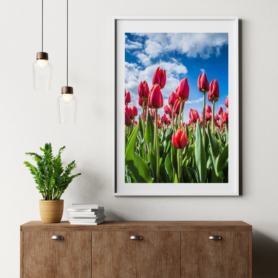 Diamantmaling Røde Tulipaner - SEOS Shop ®