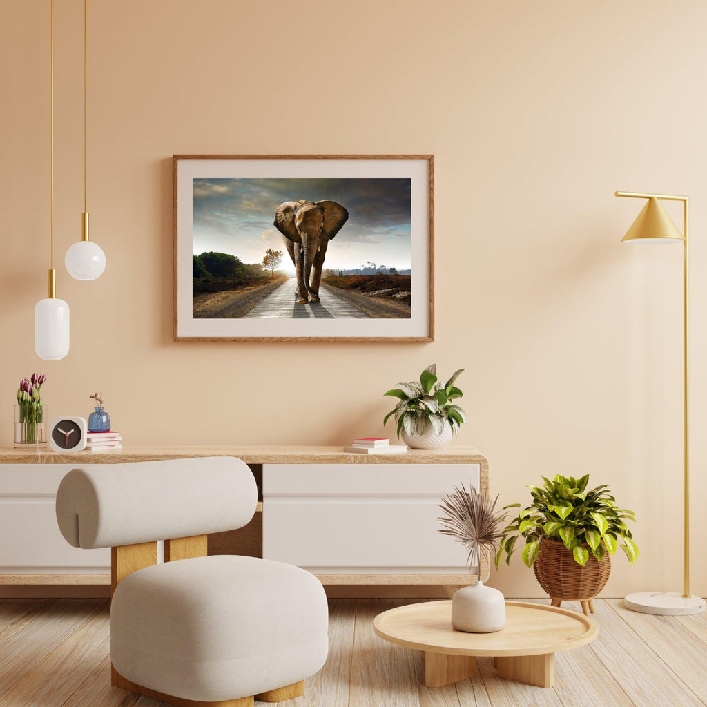 Diamantmaleri Safari Elefant - SEOS Shop ®