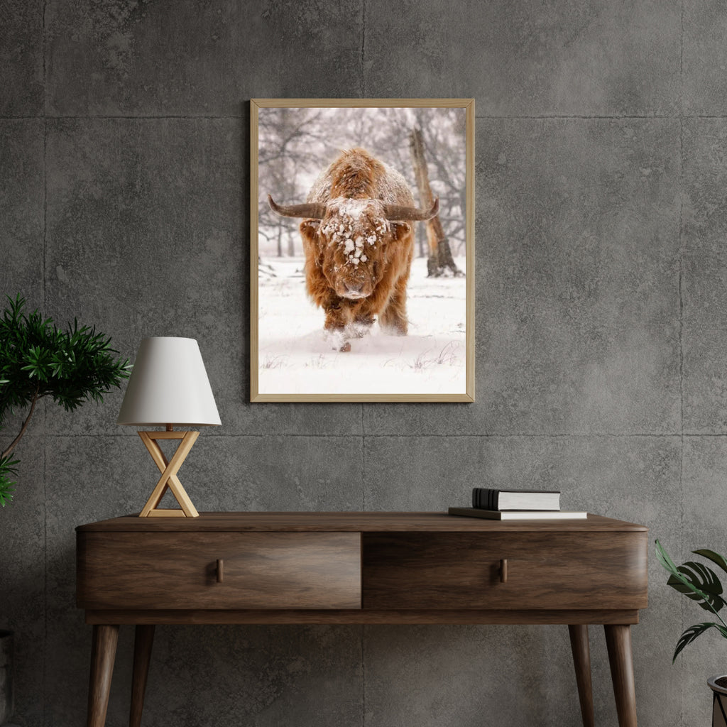 Diamantmaleri Skotsk højlander - Skotsk højlander i et naturligt vinterlandskab - SEOS Shop ®