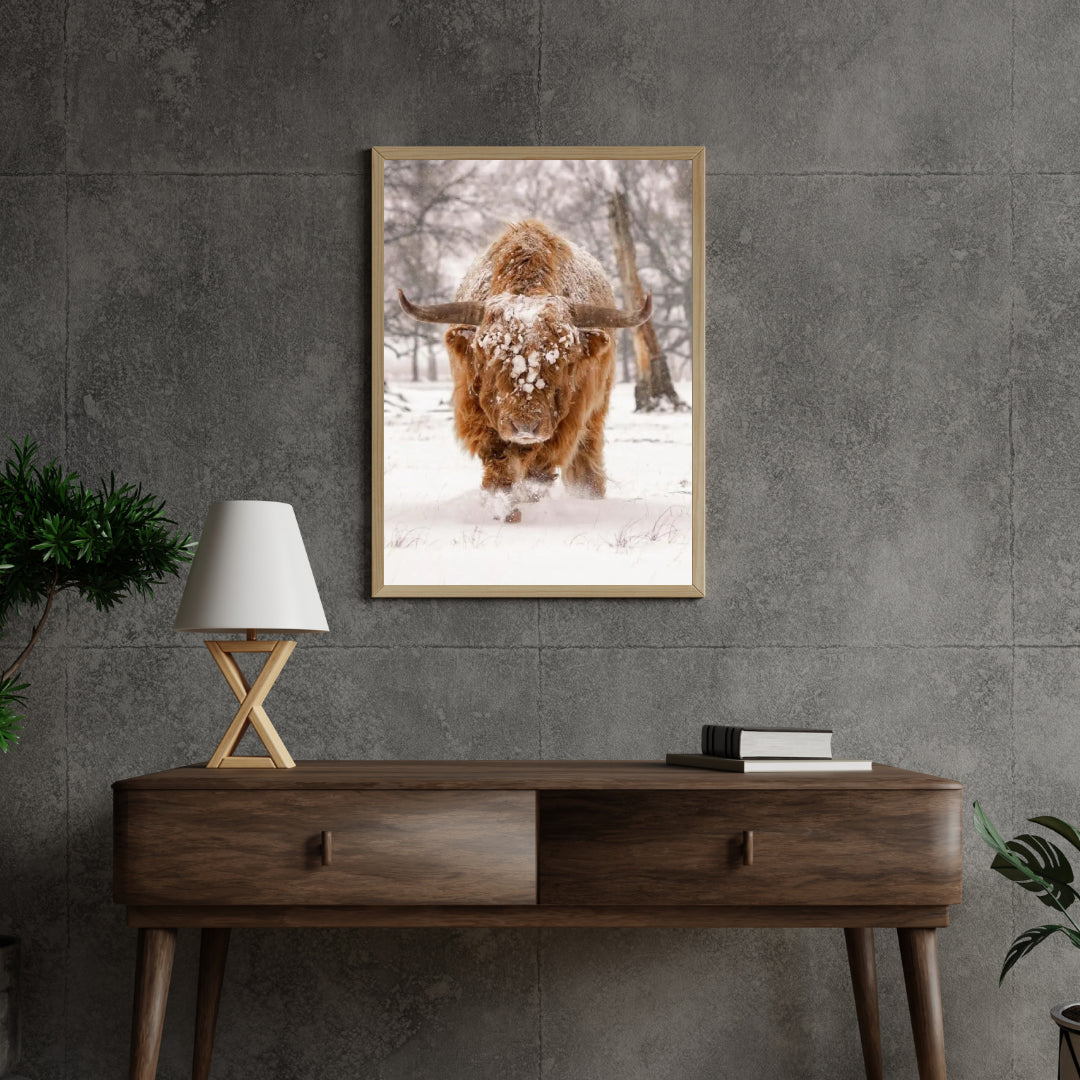 Diamantmaleri Skotsk højlander - Skotsk højlander i et naturligt vinterlandskab - SEOS Shop ®
