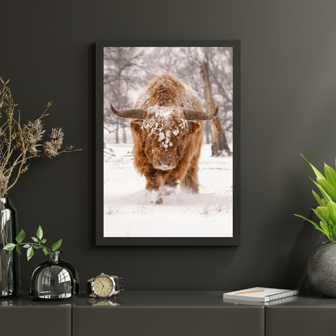Diamantmaleri Skotsk højlander - Skotsk højlander i et naturligt vinterlandskab - SEOS Shop ®
