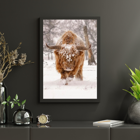 Diamantmaleri Skotsk højlander - Skotsk højlander i et naturligt vinterlandskab - SEOS Shop ®