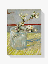 Diamantmaling Gren af blomstrende mandel i et glas - SEOS Shop ®
