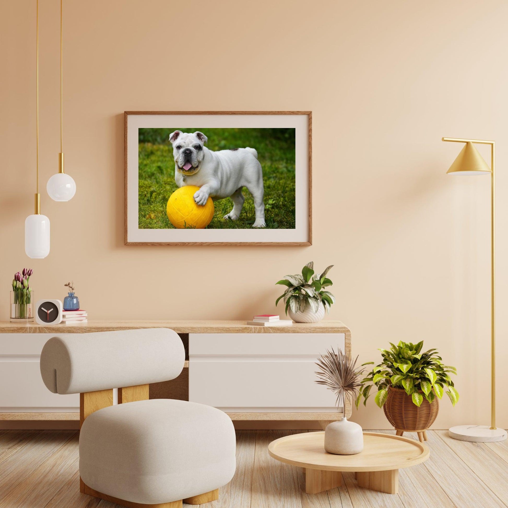 Diamantmaling Hvid bulldog med bold - SEOS Shop ®