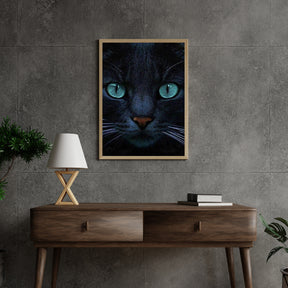 Diamantmaleri Sort kat og blå øjne - SEOS Shop ®