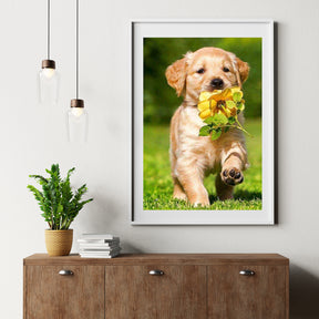 Diamantmaling Labrador hvalp med blomst - Komplet - SEOS Shop®