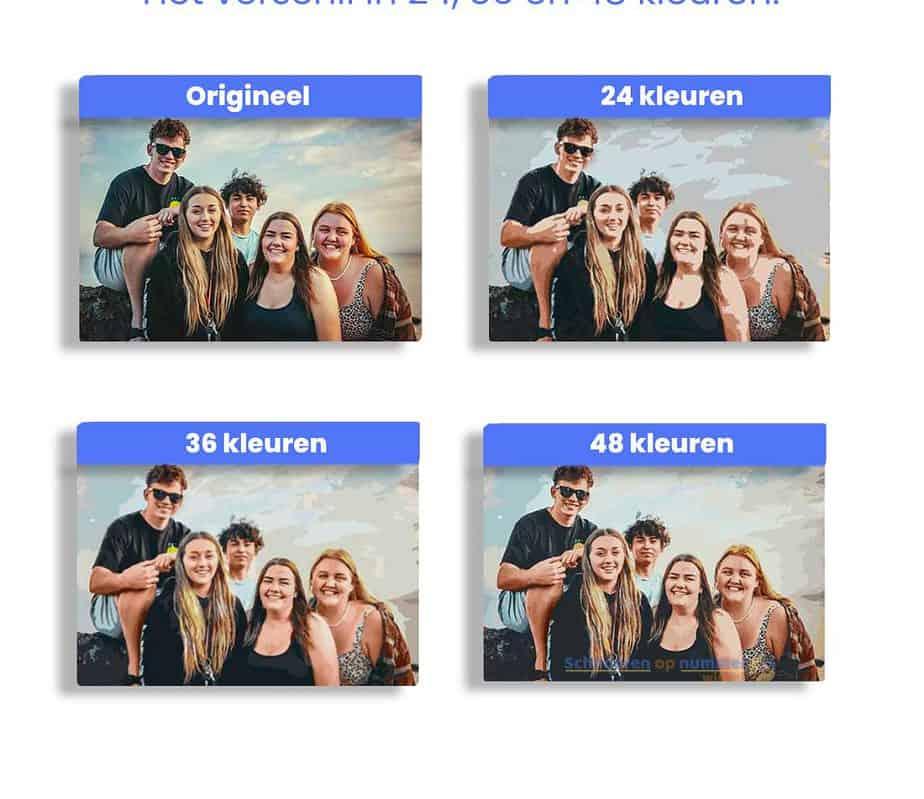 Diamantmaleri Safari Elefant 5 Luik