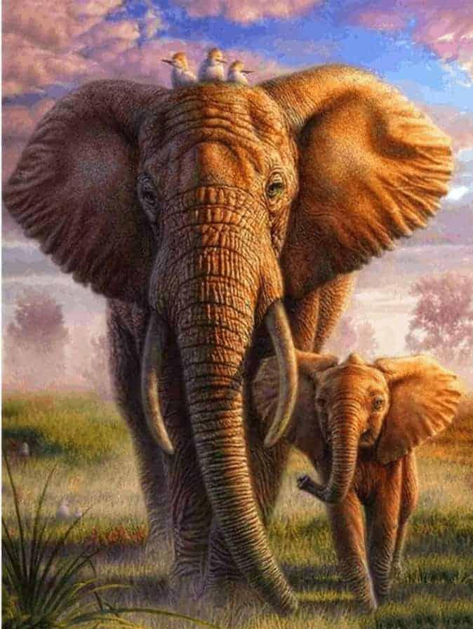 Diamantmaleri Farverig Safari Elefant - SEOS Shop ®