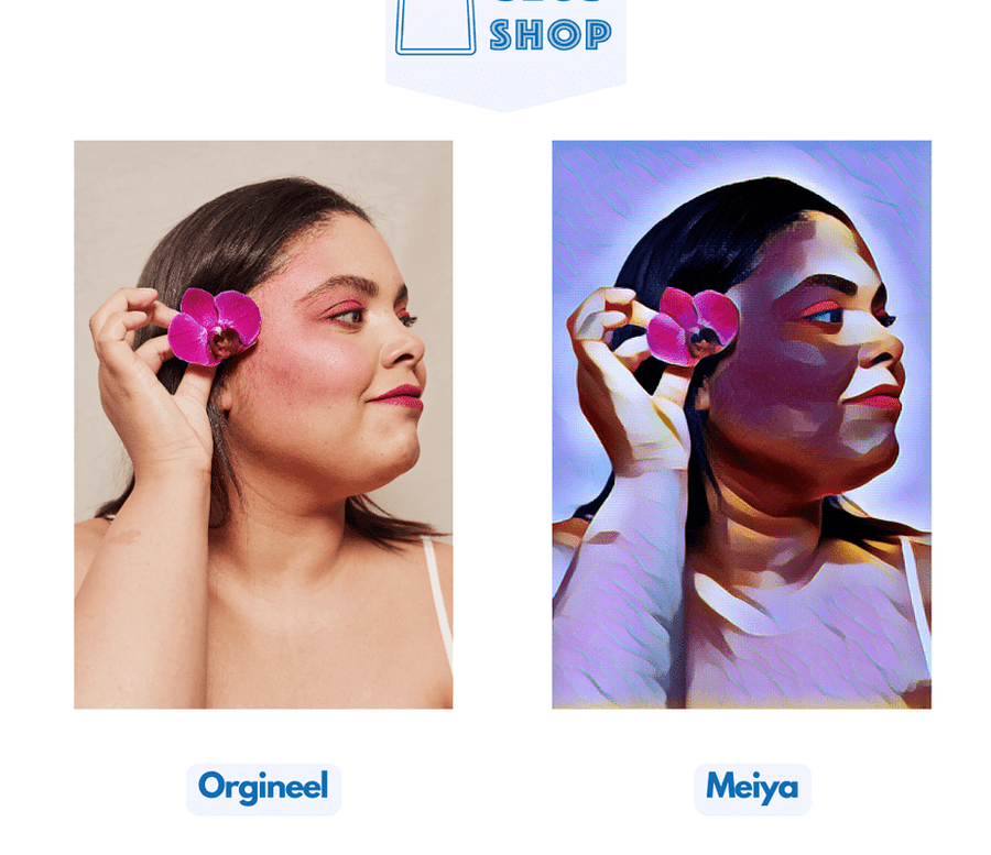 Diamantmaling af dit eget foto - Filtre