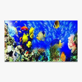 Smukke fisk | Stor størrelse - Seos SHOP