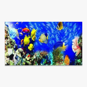 Smukke fisk | Stor størrelse - Seos SHOP