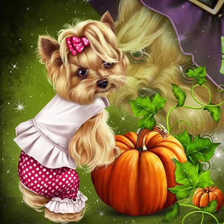 Diamantmaleri Yorkshire Terrier - SEOS Shop ®