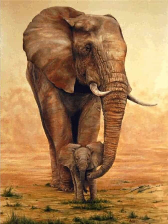 Diamantmaling Elefant med kalv på savannen - SEOS Shop ®