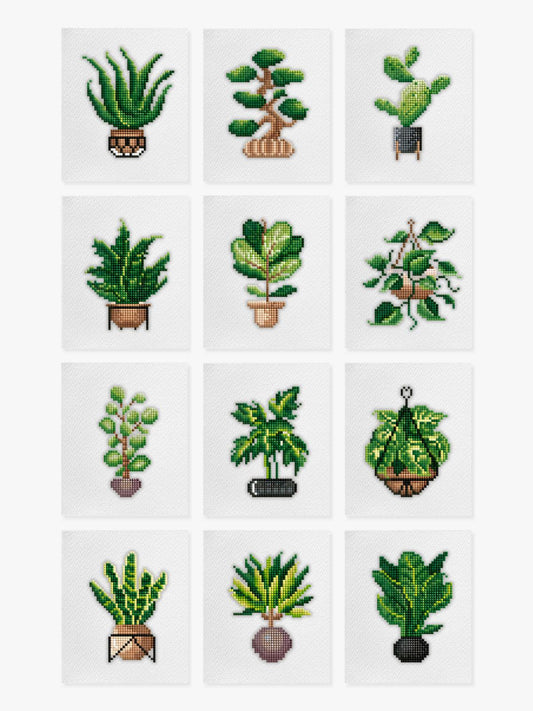 Mini Mesterværker - Stueplanter (Sæt med 12)