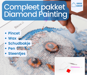 Diamantmaling af dit eget foto - Filtre