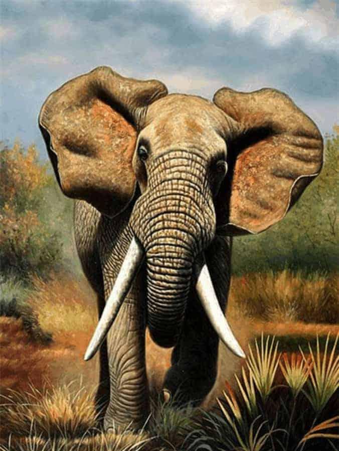 Diamantmaleri Løbende Elefant - SEOS Shop ®