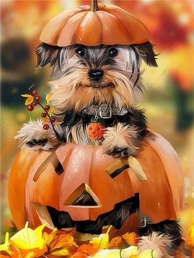 Diamantmaleri Yorkshire Terrier - SEOS Shop ®